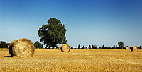 Clicca qui per ingrandire | Click here to enlarge