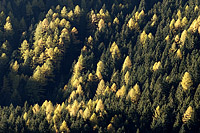Clicca qui per ingrandire | Click here to enlarge